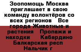 Зоопомощь.Москва приглашает в свою команду волонтёров со всех регионов - Все города Животные и растения » Пропажи и находки   . Кабардино-Балкарская респ.,Нальчик г.